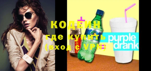 дмт Бородино