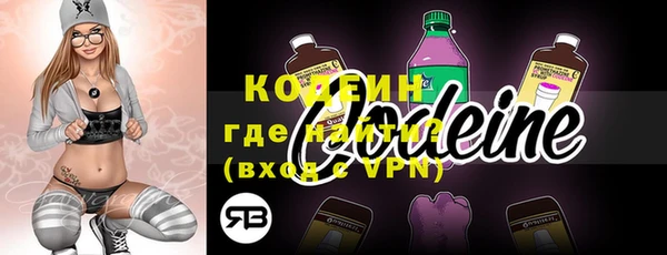 дмт Бородино