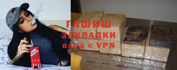 дмт Бородино