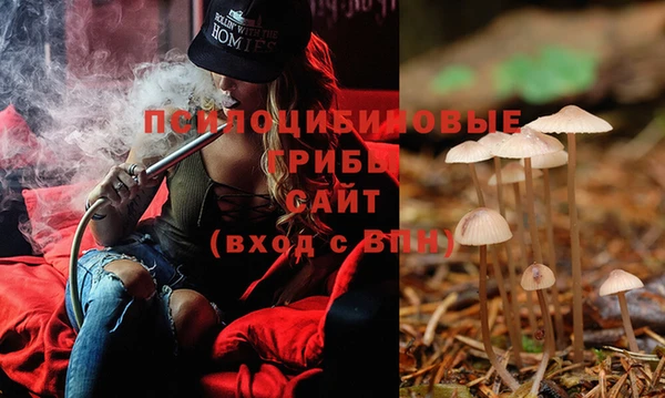 spice Бугульма