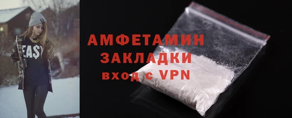 дмт Бородино