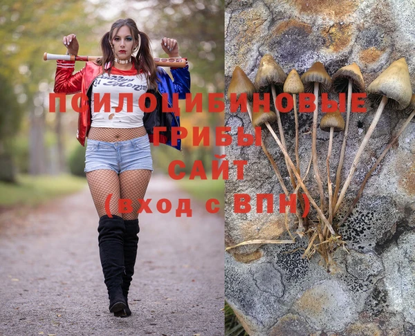 spice Бугульма