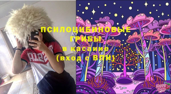 дмт Бородино