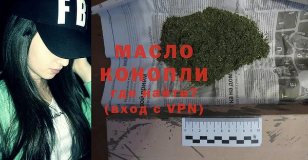 дмт Бородино