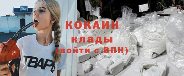 дмт Бородино