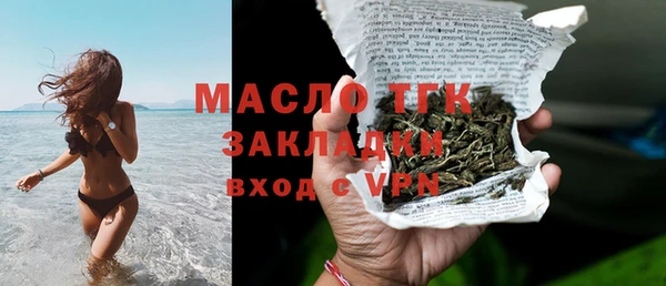 дмт Бородино