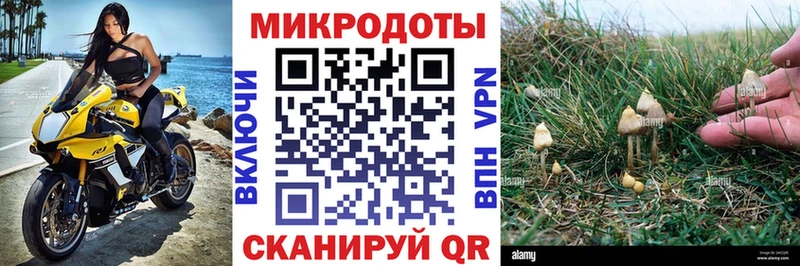 Купить  Конаково  Псилоцибиновые грибы GOLDEN TEACHER 